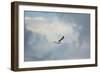 Gull over Paris Landing-Jai Johnson-Framed Giclee Print