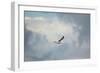 Gull over Paris Landing-Jai Johnson-Framed Giclee Print