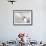 Gull-Stephen Arens-Framed Photographic Print displayed on a wall