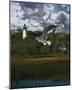 Gullage Light II-Steve Hunziker-Mounted Art Print