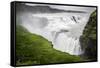 Gullfoss-dendron-Framed Stretched Canvas