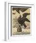 Gulliver's Little House is Carried Away by an Eagle-Coppin-Framed Art Print