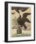 Gulliver's Little House is Carried Away by an Eagle-Coppin-Framed Art Print