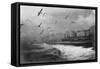 Gulls at Brighton, East Sussex, Early 20th Century-null-Framed Stretched Canvas