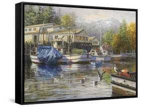 Gulls at the Marina-Nicky Boehme-Framed Stretched Canvas