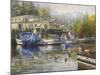 Gulls at the Marina-Nicky Boehme-Mounted Giclee Print