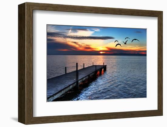 Gulls Fly over the Sea-kesipun-Framed Photographic Print