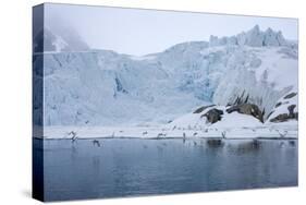 Gulls Fly Up in Front of Glacier, Spitzsergen, Svalbard, Norway, Scandinavia, Europe-Thorsten Milse-Stretched Canvas