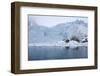 Gulls Fly Up in Front of Glacier, Spitzsergen, Svalbard, Norway, Scandinavia, Europe-Thorsten Milse-Framed Photographic Print