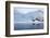 Gulls Fly Up in Front of Glacier, Spitzsergen, Svalbard, Norway, Scandinavia, Europe-Thorsten Milse-Framed Photographic Print