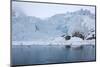 Gulls Fly Up in Front of Glacier, Spitzsergen, Svalbard, Norway, Scandinavia, Europe-Thorsten Milse-Mounted Photographic Print