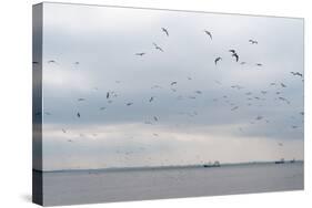 Gulls Flying over the Sea-Torsten Richter-Stretched Canvas