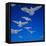 Gulls in Flight-Philip Gendreau-Framed Stretched Canvas