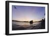 Gulls in the Backlight, Harbour Cranes, St Pauli Landing Stages-Axel Schmies-Framed Photographic Print