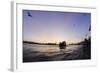 Gulls in the Backlight, Harbour Cranes, St Pauli Landing Stages-Axel Schmies-Framed Photographic Print