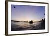 Gulls in the Backlight, Harbour Cranes, St Pauli Landing Stages-Axel Schmies-Framed Photographic Print