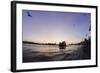 Gulls in the Backlight, Harbour Cranes, St Pauli Landing Stages-Axel Schmies-Framed Photographic Print