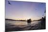 Gulls in the Backlight, Harbour Cranes, St Pauli Landing Stages-Axel Schmies-Mounted Photographic Print