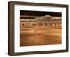 Gulls On Kiwanda Golden Shore-Steven Maxx-Framed Photographic Print