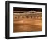 Gulls On Kiwanda Golden Shore-Steven Maxx-Framed Photographic Print