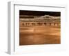 Gulls On Kiwanda Golden Shore-Steven Maxx-Framed Photographic Print