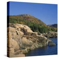 Gulls on Rocks Along the Coastline, in the Acadia National Park, Maine, New England, USA-Roy Rainford-Stretched Canvas