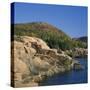 Gulls on Rocks Along the Coastline, in the Acadia National Park, Maine, New England, USA-Roy Rainford-Stretched Canvas