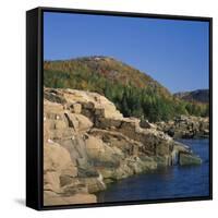 Gulls on Rocks Along the Coastline, in the Acadia National Park, Maine, New England, USA-Roy Rainford-Framed Stretched Canvas