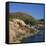 Gulls on Rocks Along the Coastline, in the Acadia National Park, Maine, New England, USA-Roy Rainford-Framed Stretched Canvas