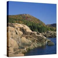 Gulls on Rocks Along the Coastline, in the Acadia National Park, Maine, New England, USA-Roy Rainford-Stretched Canvas