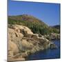 Gulls on Rocks Along the Coastline, in the Acadia National Park, Maine, New England, USA-Roy Rainford-Mounted Premium Photographic Print