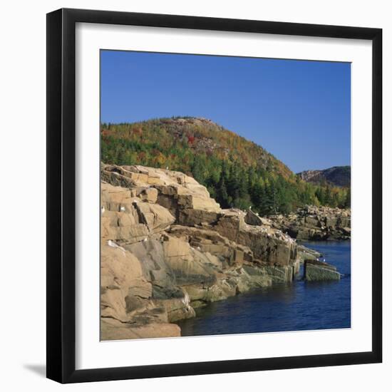 Gulls on Rocks Along the Coastline, in the Acadia National Park, Maine, New England, USA-Roy Rainford-Framed Photographic Print