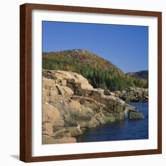 Gulls on Rocks Along the Coastline, in the Acadia National Park, Maine, New England, USA-Roy Rainford-Framed Photographic Print