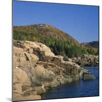 Gulls on Rocks Along the Coastline, in the Acadia National Park, Maine, New England, USA-Roy Rainford-Mounted Photographic Print