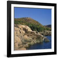 Gulls on Rocks Along the Coastline, in the Acadia National Park, Maine, New England, USA-Roy Rainford-Framed Photographic Print