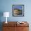 Gulls on Rocks Along the Coastline, in the Acadia National Park, Maine, New England, USA-Roy Rainford-Framed Photographic Print displayed on a wall