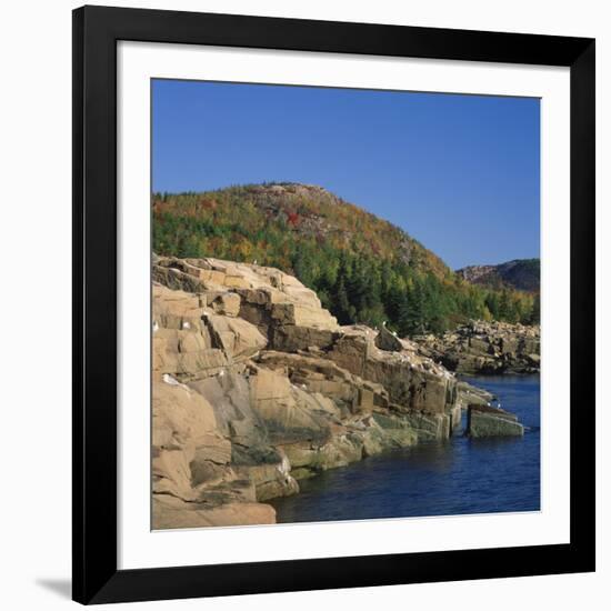 Gulls on Rocks Along the Coastline, in the Acadia National Park, Maine, New England, USA-Roy Rainford-Framed Photographic Print