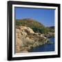 Gulls on Rocks Along the Coastline, in the Acadia National Park, Maine, New England, USA-Roy Rainford-Framed Photographic Print