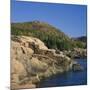 Gulls on Rocks Along the Coastline, in the Acadia National Park, Maine, New England, USA-Roy Rainford-Mounted Photographic Print