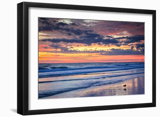 Gulls on the Shore II-Alan Hausenflock-Framed Photographic Print