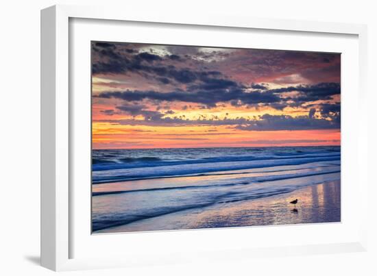 Gulls on the Shore II-Alan Hausenflock-Framed Photographic Print