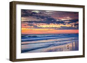 Gulls on the Shore II-Alan Hausenflock-Framed Photo