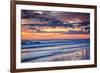 Gulls on the Shore II-Alan Hausenflock-Framed Photo