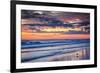 Gulls on the Shore II-Alan Hausenflock-Framed Photo