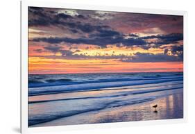 Gulls on the Shore II-Alan Hausenflock-Framed Photo