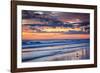 Gulls on the Shore II-Alan Hausenflock-Framed Photo