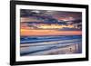 Gulls on the Shore II-Alan Hausenflock-Framed Photo