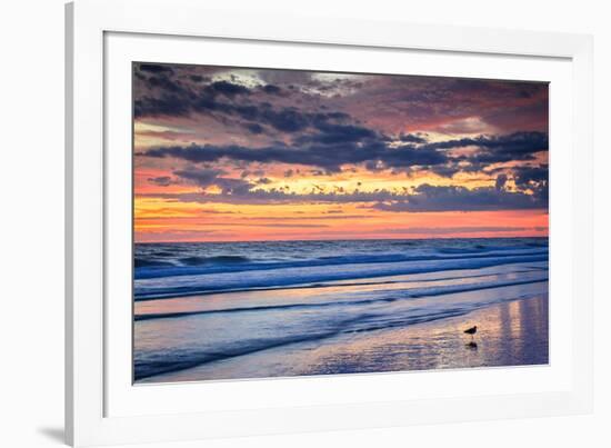 Gulls on the Shore II-Alan Hausenflock-Framed Photographic Print