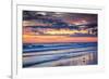 Gulls on the Shore II-Alan Hausenflock-Framed Photographic Print