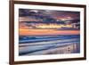 Gulls on the Shore II-Alan Hausenflock-Framed Photographic Print